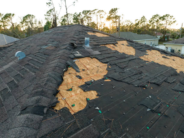 Best Rubber Roofing (EPDM, TPO)  in Beaver Dam, WI